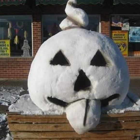 Meet your Posher, Chris - Picture 1 of 1